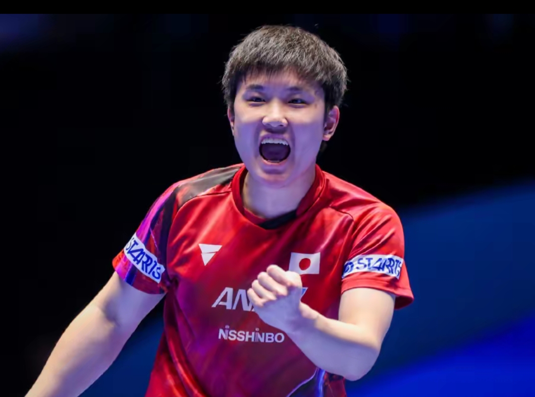 纽约洋基在 纽约洋基在